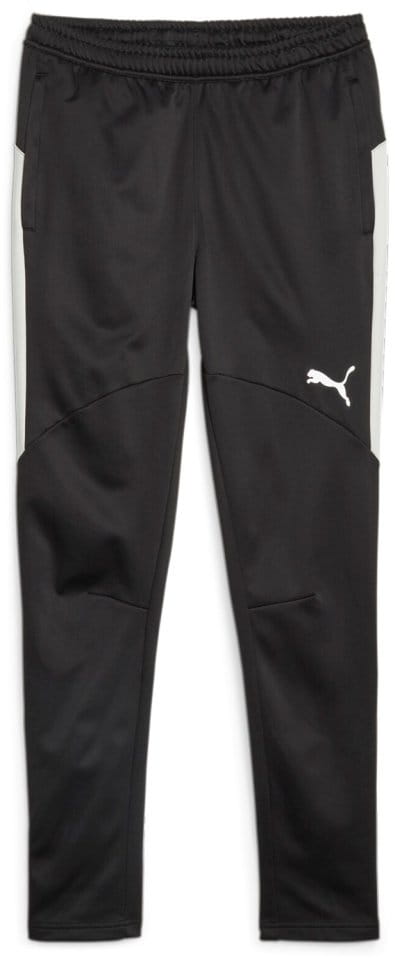 Панталони Puma Individual Winterized Men's Football Pants